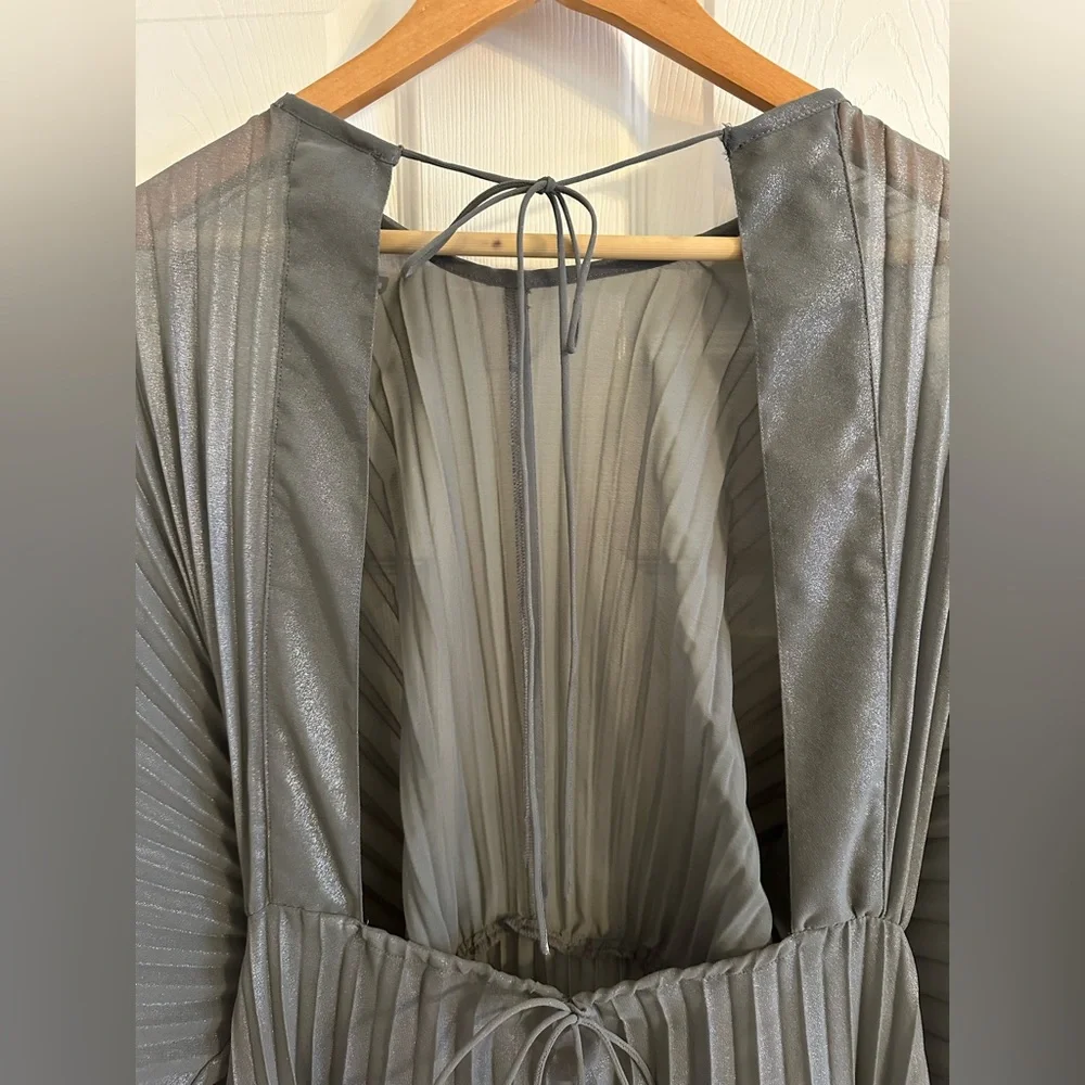 Anthropologie Sheer Pleated Taupe Maxi Dress - Picture 7 of 9